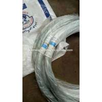 Hot Selling Galvanized Iron Wire/Binding Wire